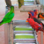 c33ca2_dd356c6bc15b4fefaa378681f6f28754~mv2.png