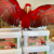 c33ca2_b09e5962b62b48bababb350ba0c0dca4~mv2.png