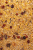 c33ca2_209251eec8204bbe943a6683a99570d3~mv2.png