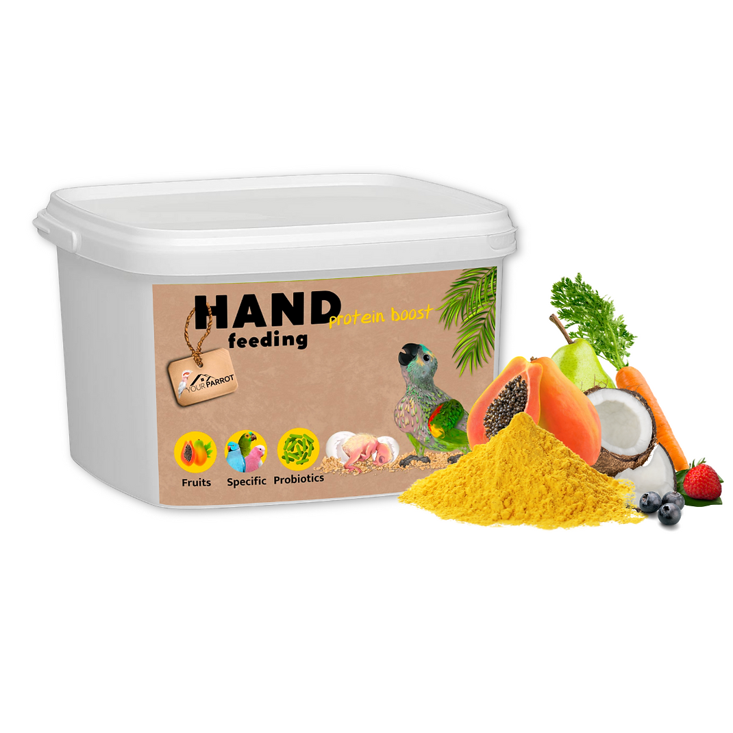 c33ca2_b20bd8fce5e24944a9a741da0c981cdc~mv2.png
