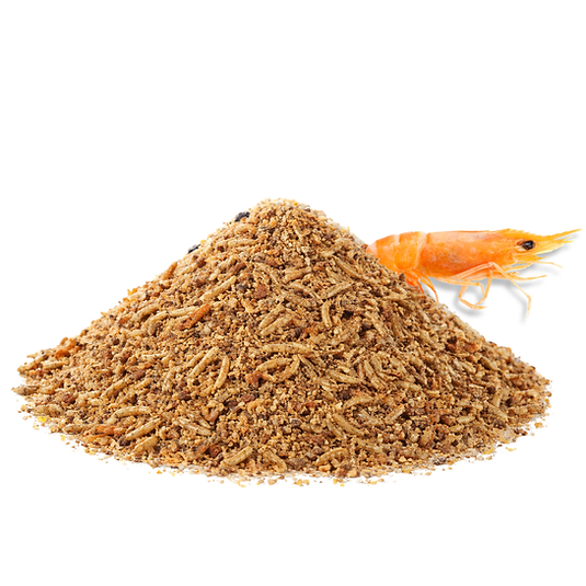 c33ca2_5765aad3f3db43ae88e38aa10c6b4f7d~mv2.png